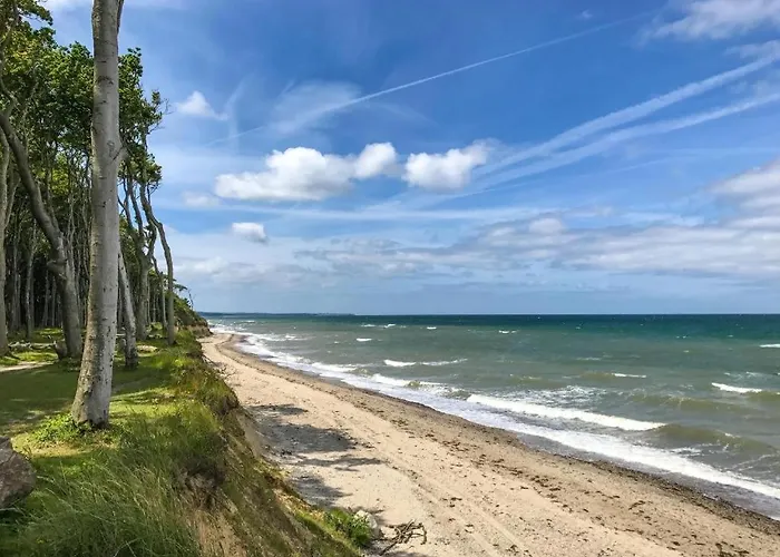 Ostseeferienpark Seepferdchen Direkt An Der Ostsee - Perfekt Fuer Familien Feriepark Nienhagen